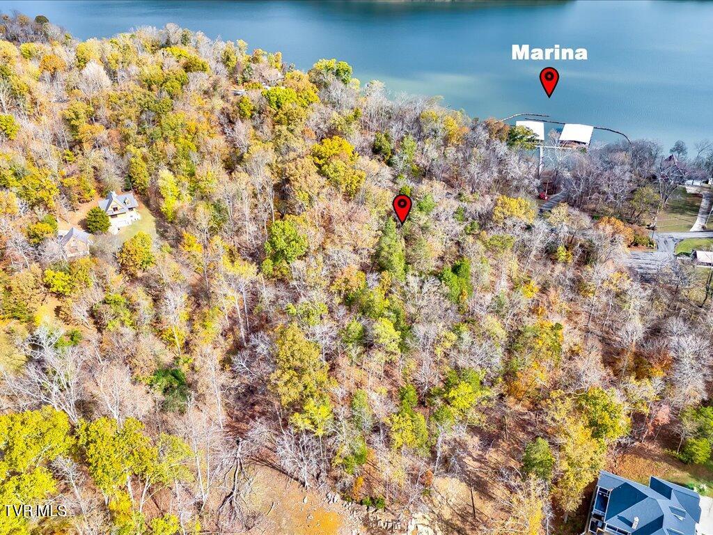 365 Chelaque Way, Mooresburg, Tennessee image 8
