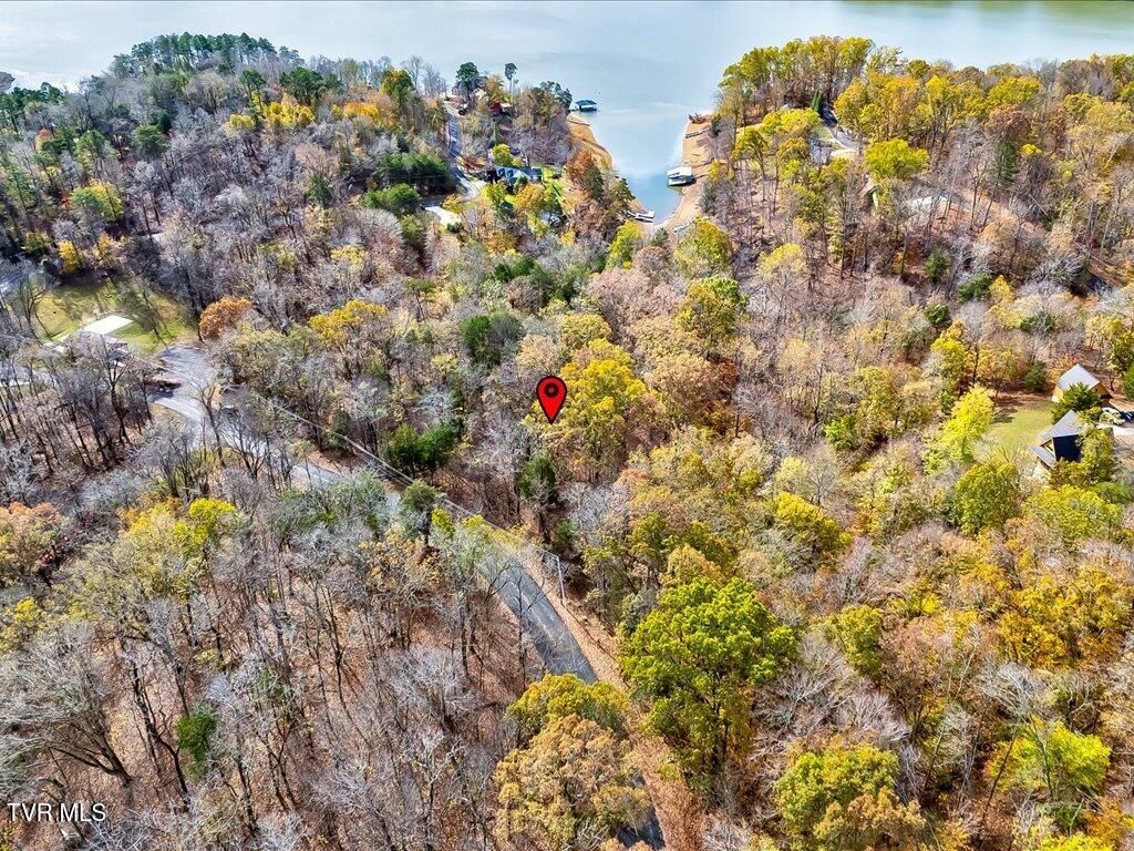 Photo of 365 Chelaque Way, Mooresburg, TN 37811 (MLS # 9973645)