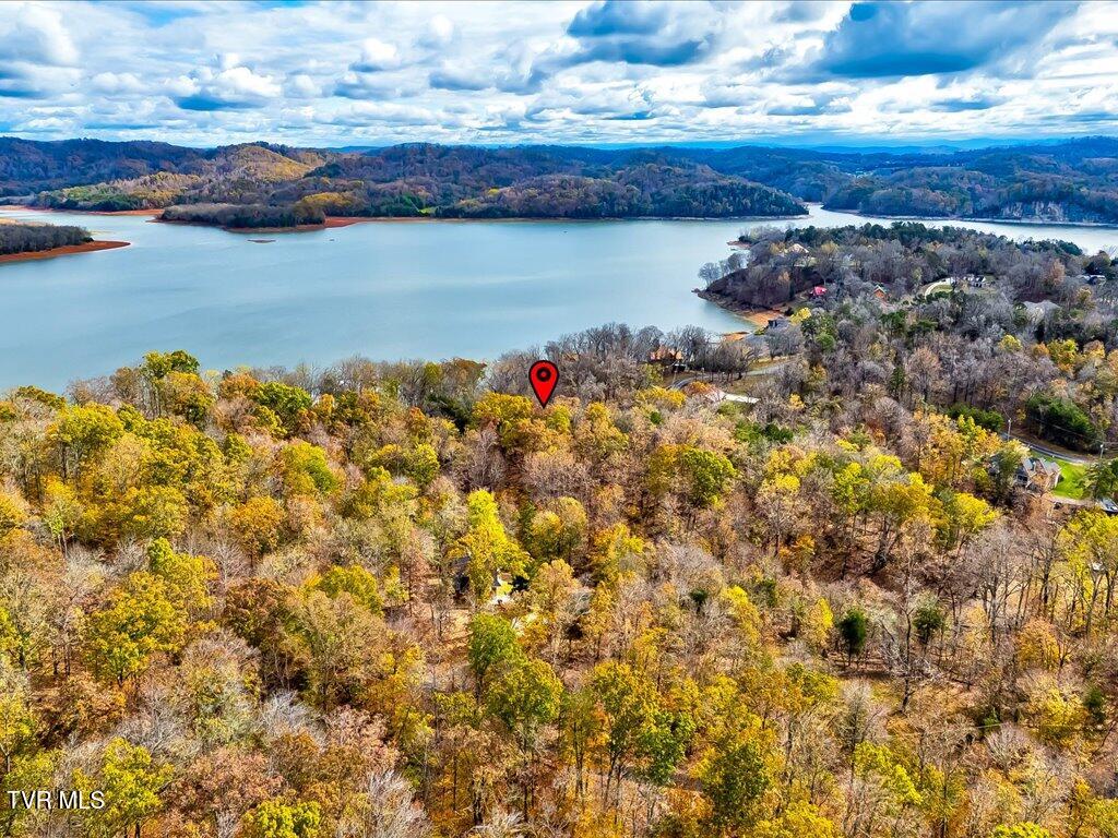 365 Chelaque Way, Mooresburg, Tennessee image 13