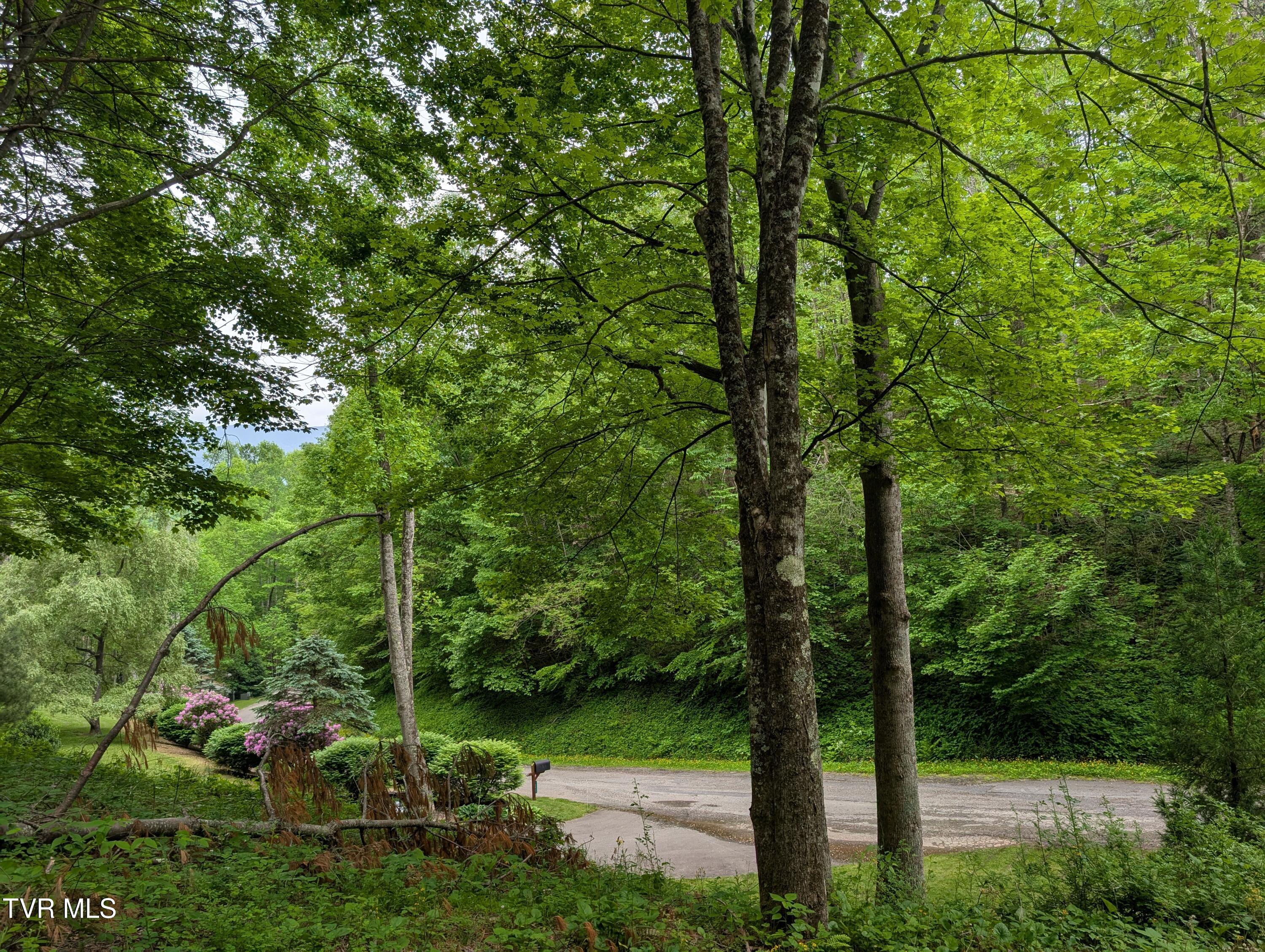 Tbd June Apple Lane, Trade, Tennessee image 8