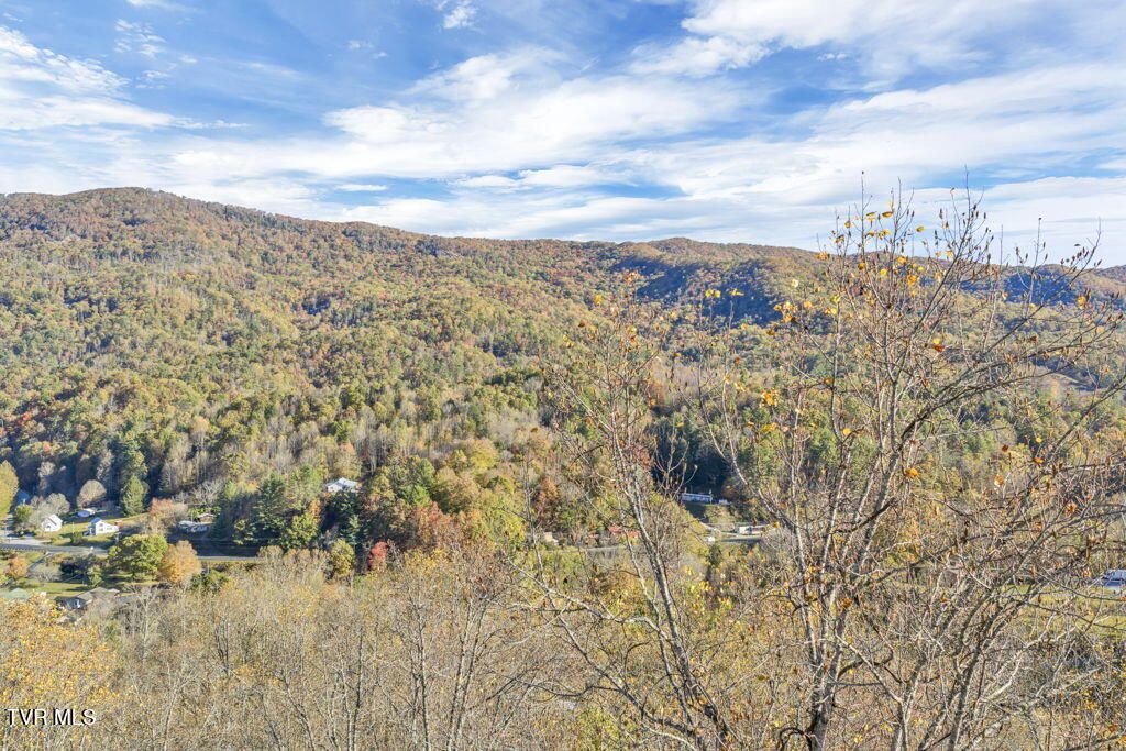 Photo of Tbd Hogum Hollow Road, Roan Mountain, TN 37687 (MLS # 9987498)