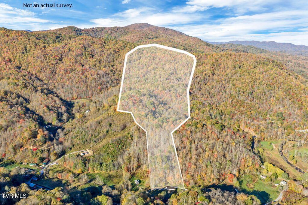 Photo of Tbd Hogum Hollow Road, Roan Mountain, TN 37687 (MLS # 9987498)