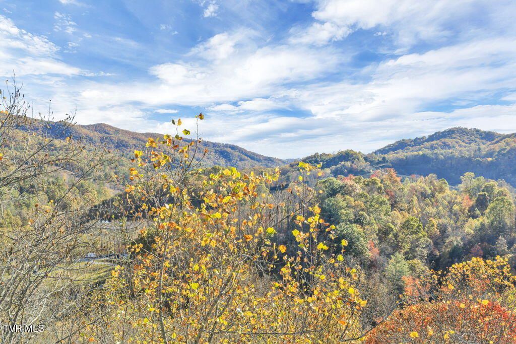 Photo of Tbd Hogum Hollow Road, Roan Mountain, TN 37687 (MLS # 9987498)