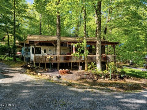Photo of 605 Lily Way, Cosby, TN 37722 (MLS # 9995205)