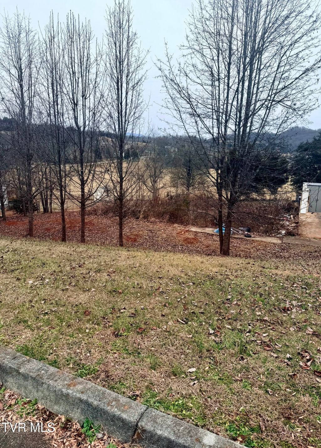Photo of 163 Alexander Crossings Drive, Church Hill, TN 37642 (MLS # 9990738)