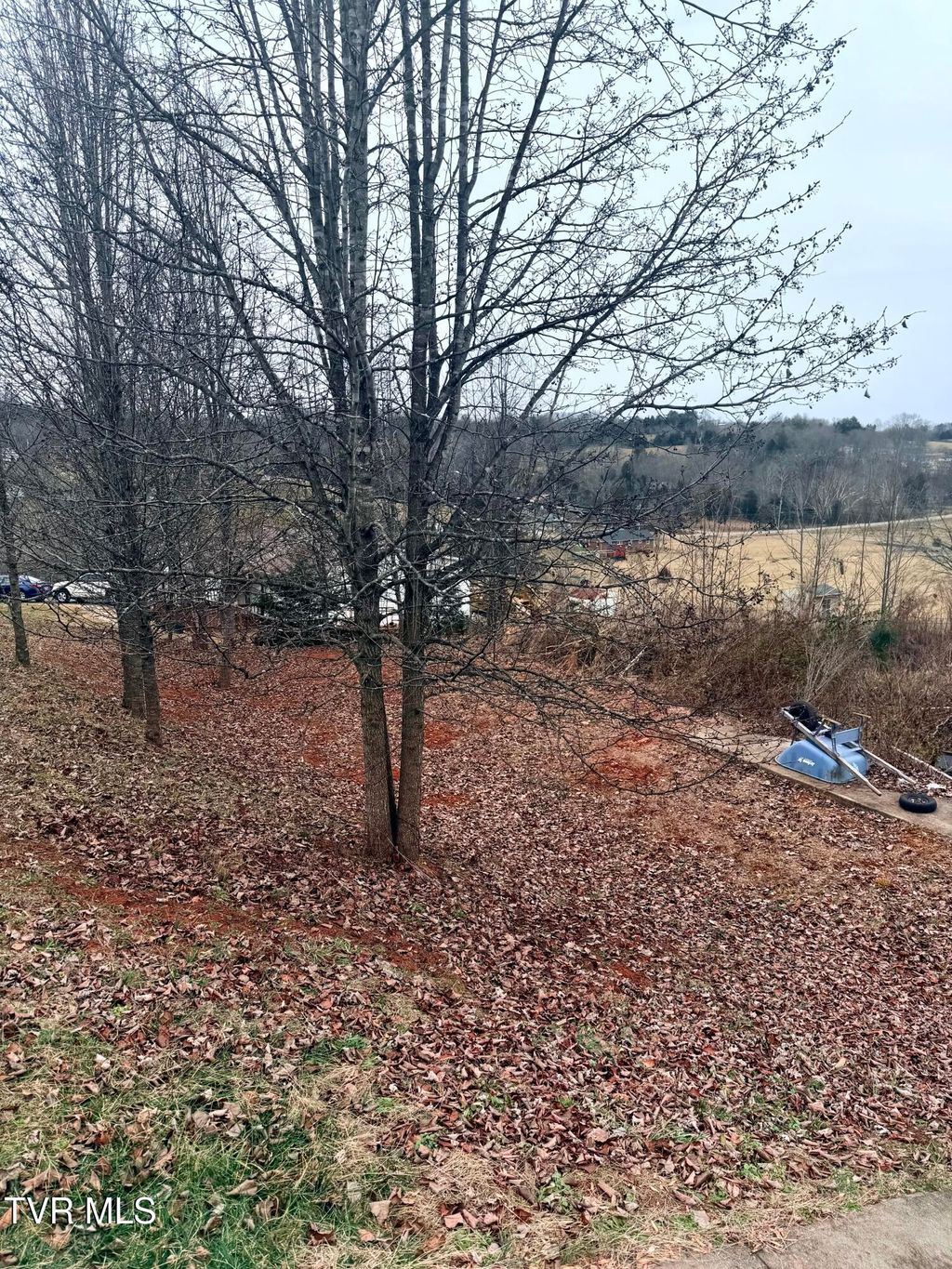 Photo of 163 Alexander Crossings Drive, Church Hill, TN 37642 (MLS # 9990738)