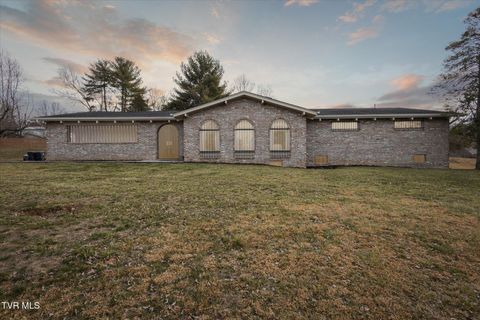 100 Tudor Place Bristol TN 37620