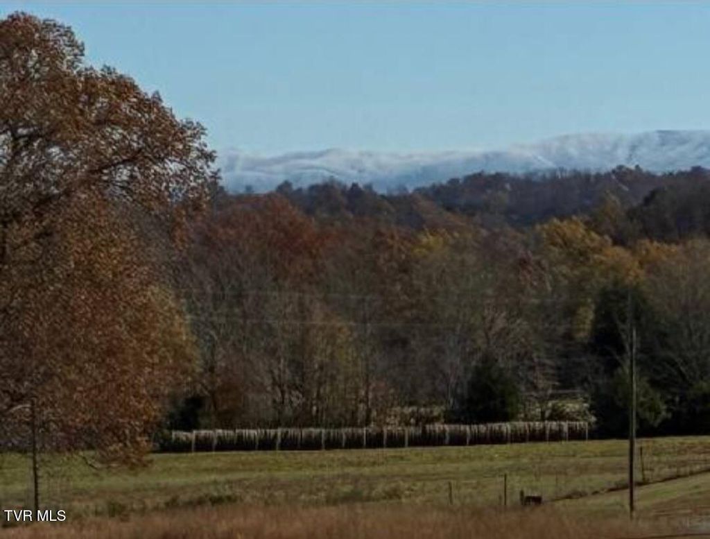 Photo of 860 Yellow Springs Road, Midway, TN 37809 (MLS # 9991186)