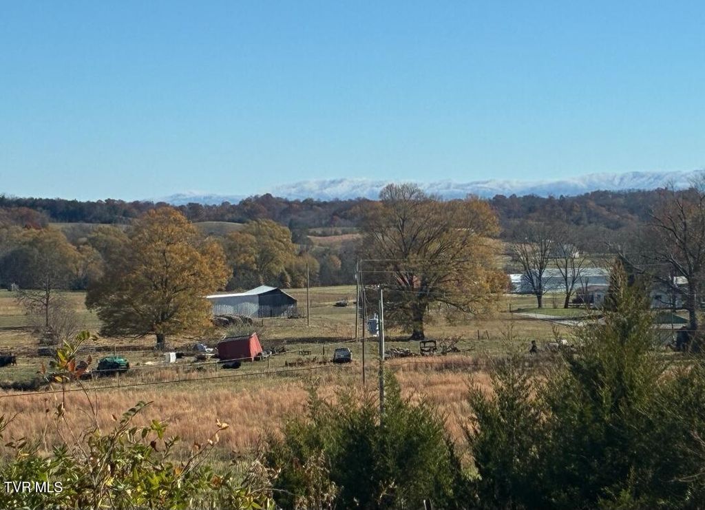 Photo of 860 Yellow Springs Road, Midway, TN 37809 (MLS # 9991186)