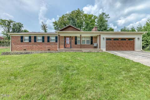 Homes For Sale - 113 Carla Street<br/> Bristol, TN 37620