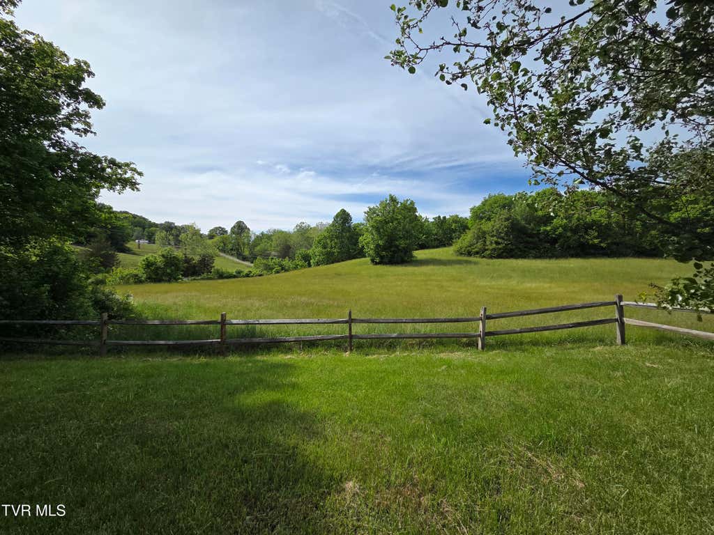 Photo of 1584 Old Boones Creek Road, Jonesborough, TN 37659 (MLS # 9996861)