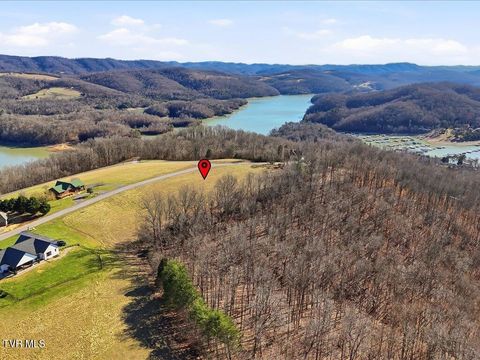 Vacant Land For Sale - LOT 284 Smokey Quartz Boulevard<br/> Claiborne County, New Tazewell, TN 37825