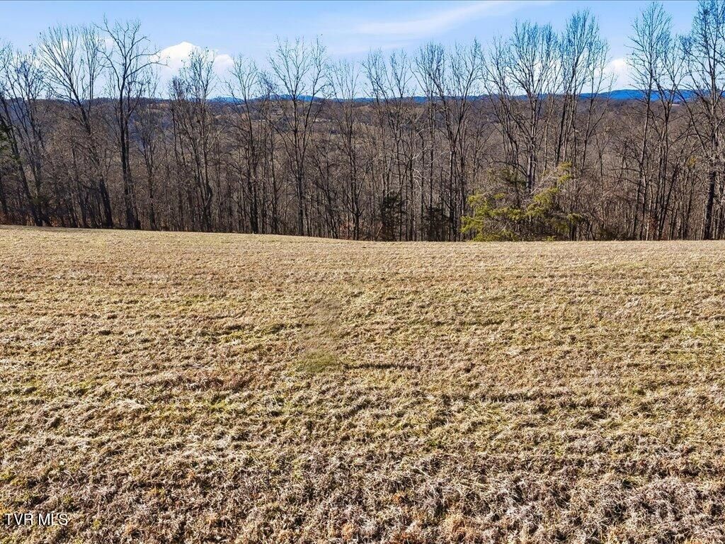 Photo of 284 Smokey Quartz Boulevard, New Tazewell, TN 37825 (MLS # 9991848)