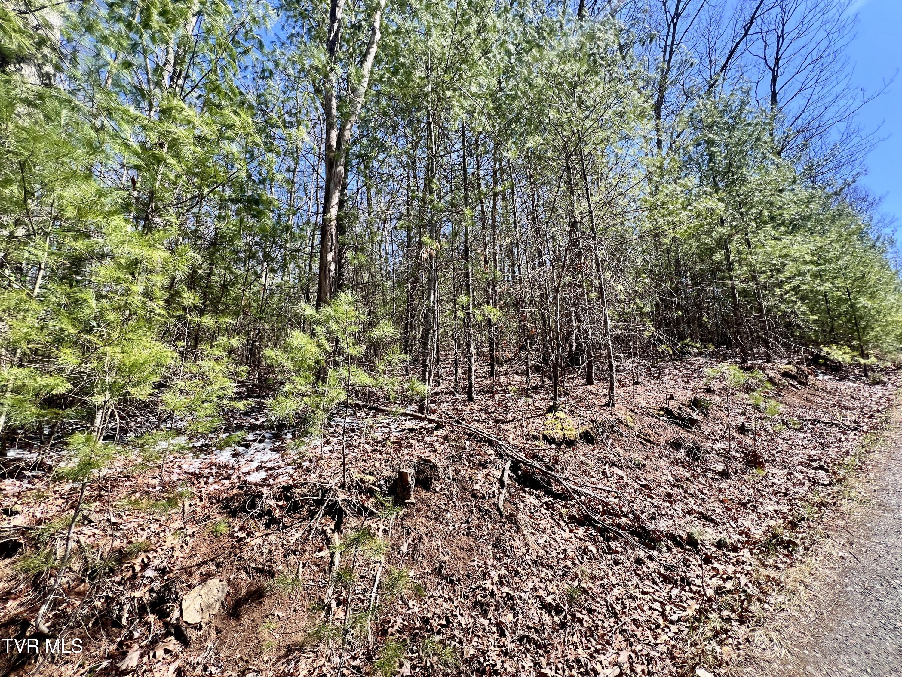 900 Crowder Road, Mountain City, Tennessee image 8