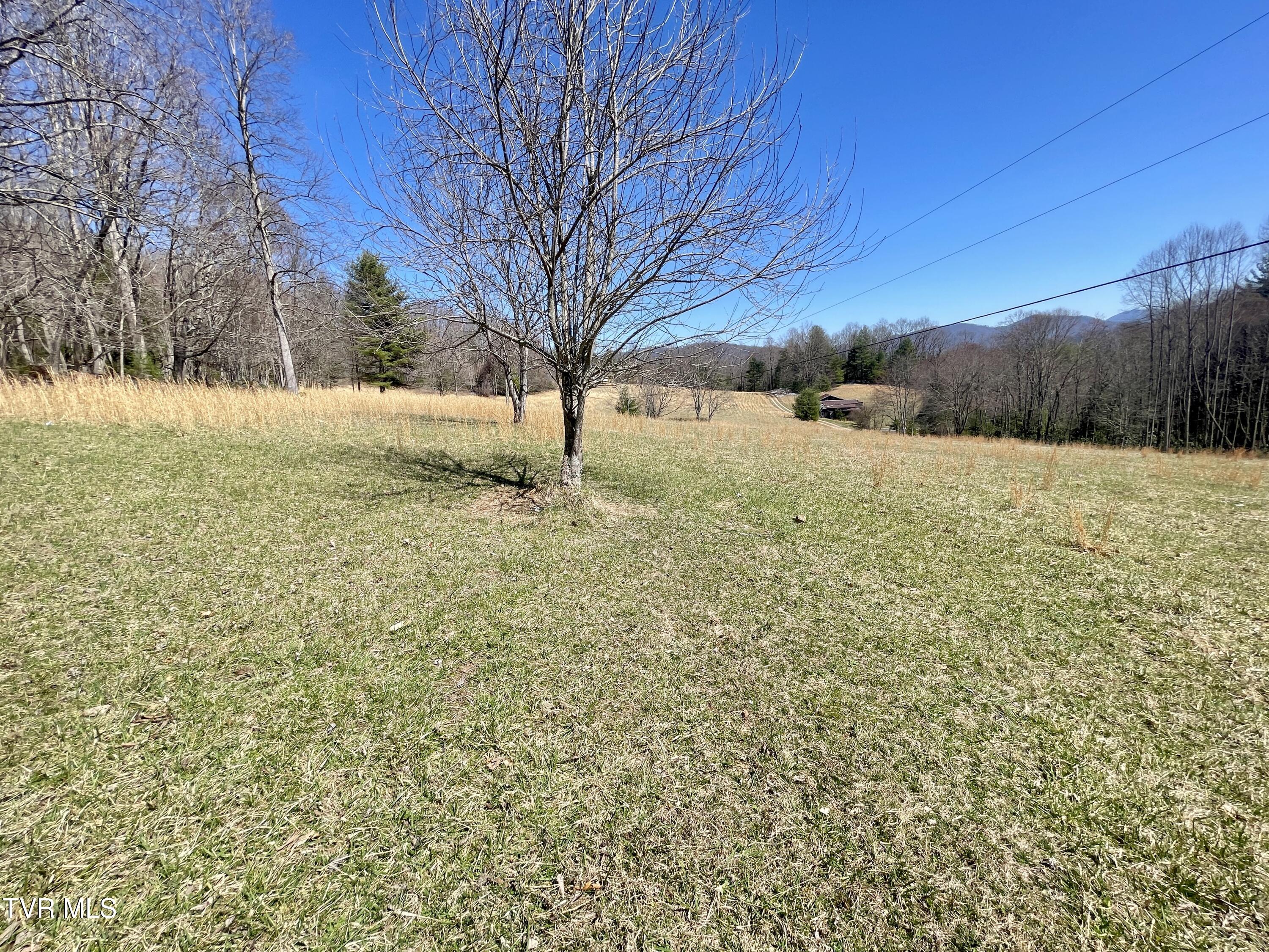 900 Crowder Road, Mountain City, Tennessee image 2