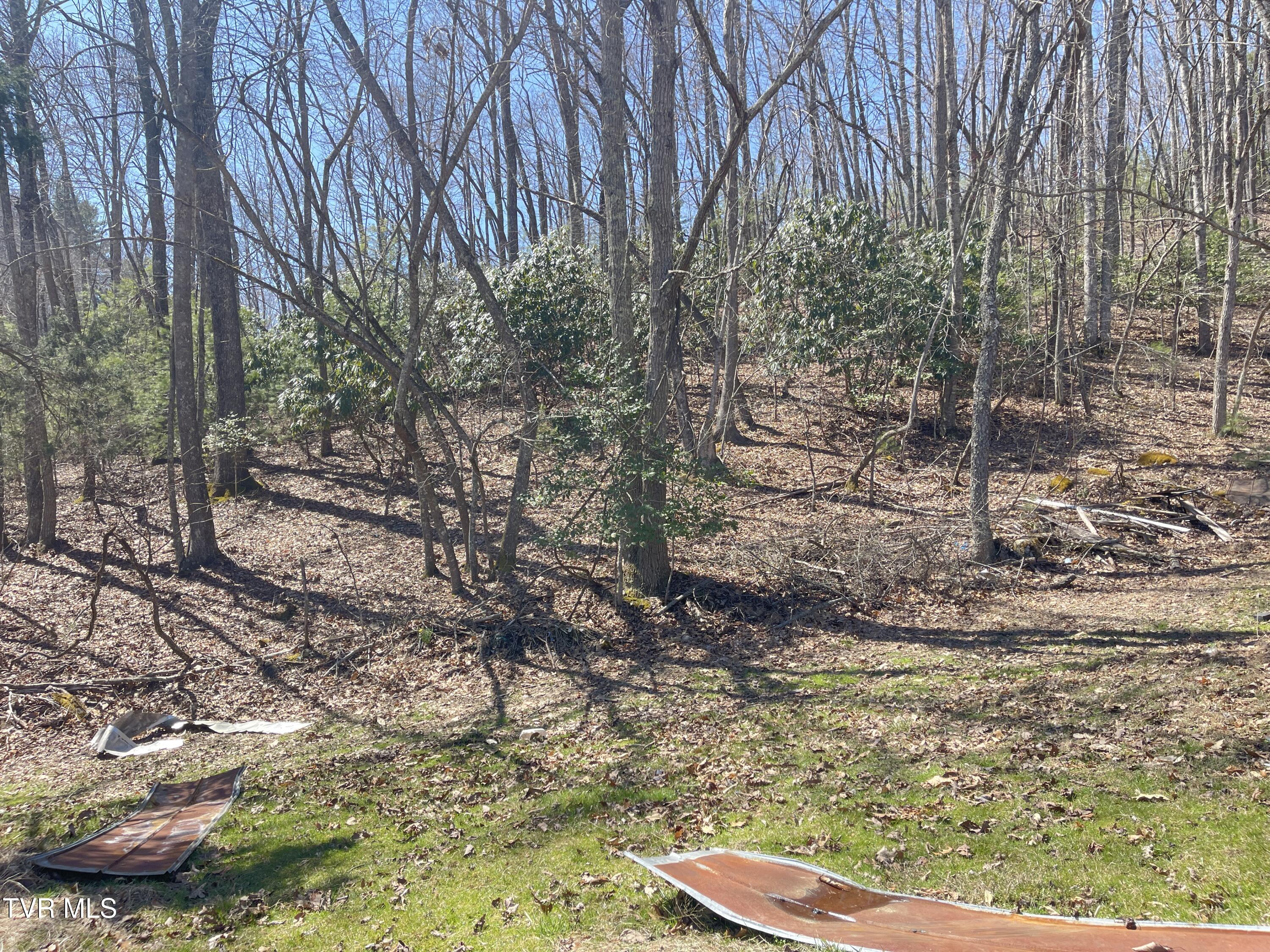 900 Crowder Road, Mountain City, Tennessee image 15