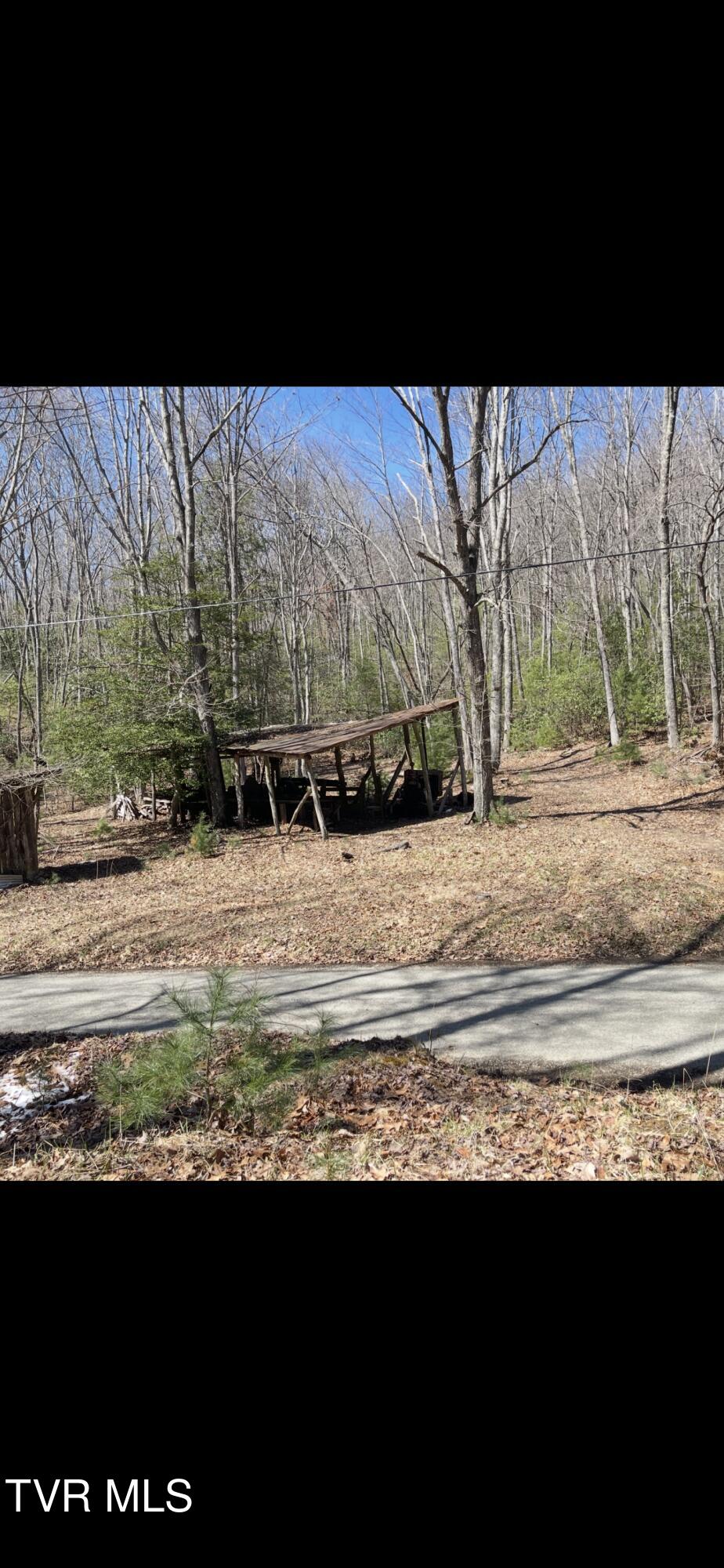900 Crowder Road, Mountain City, Tennessee image 21