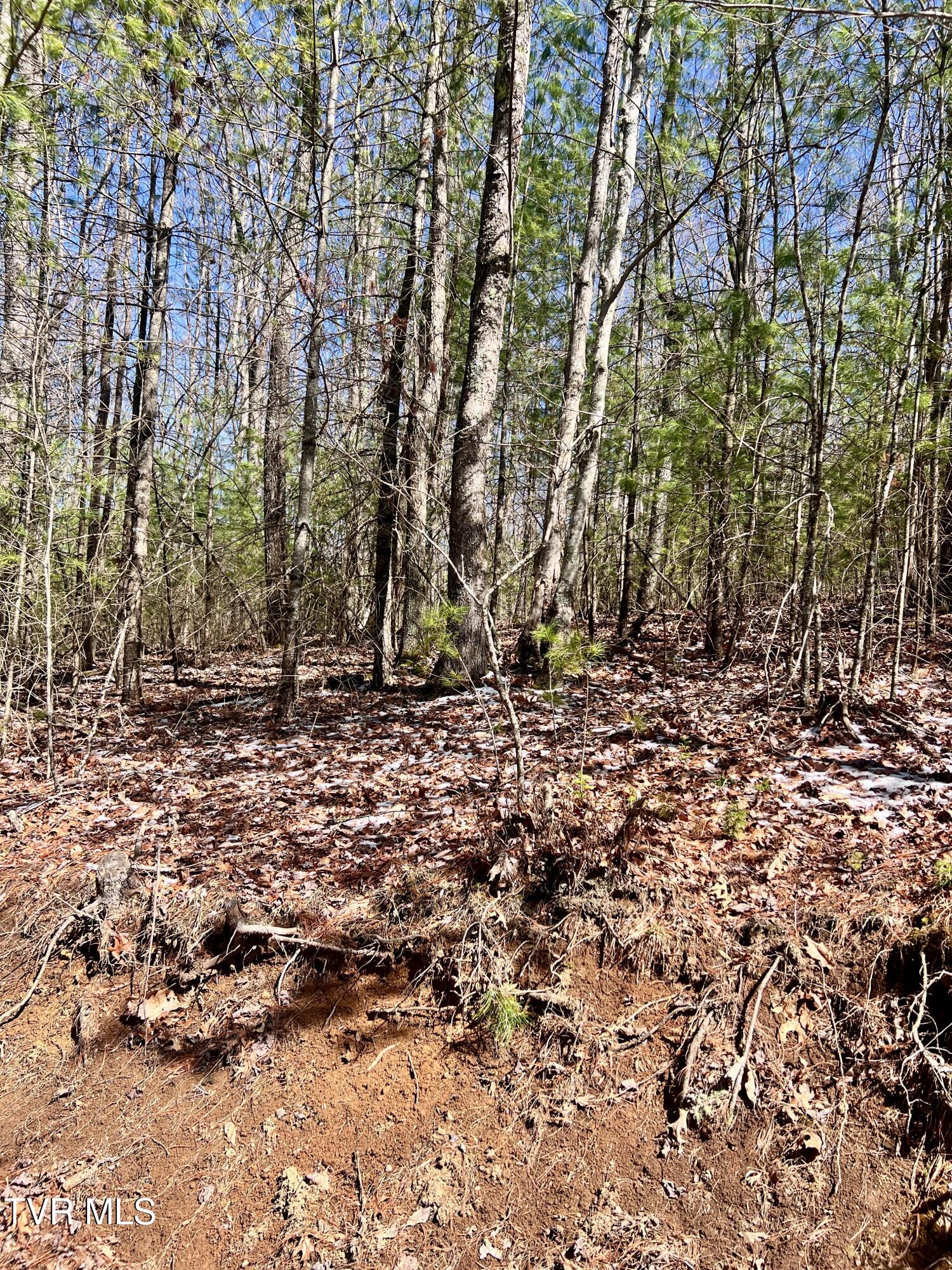 900 Crowder Road, Mountain City, Tennessee image 6