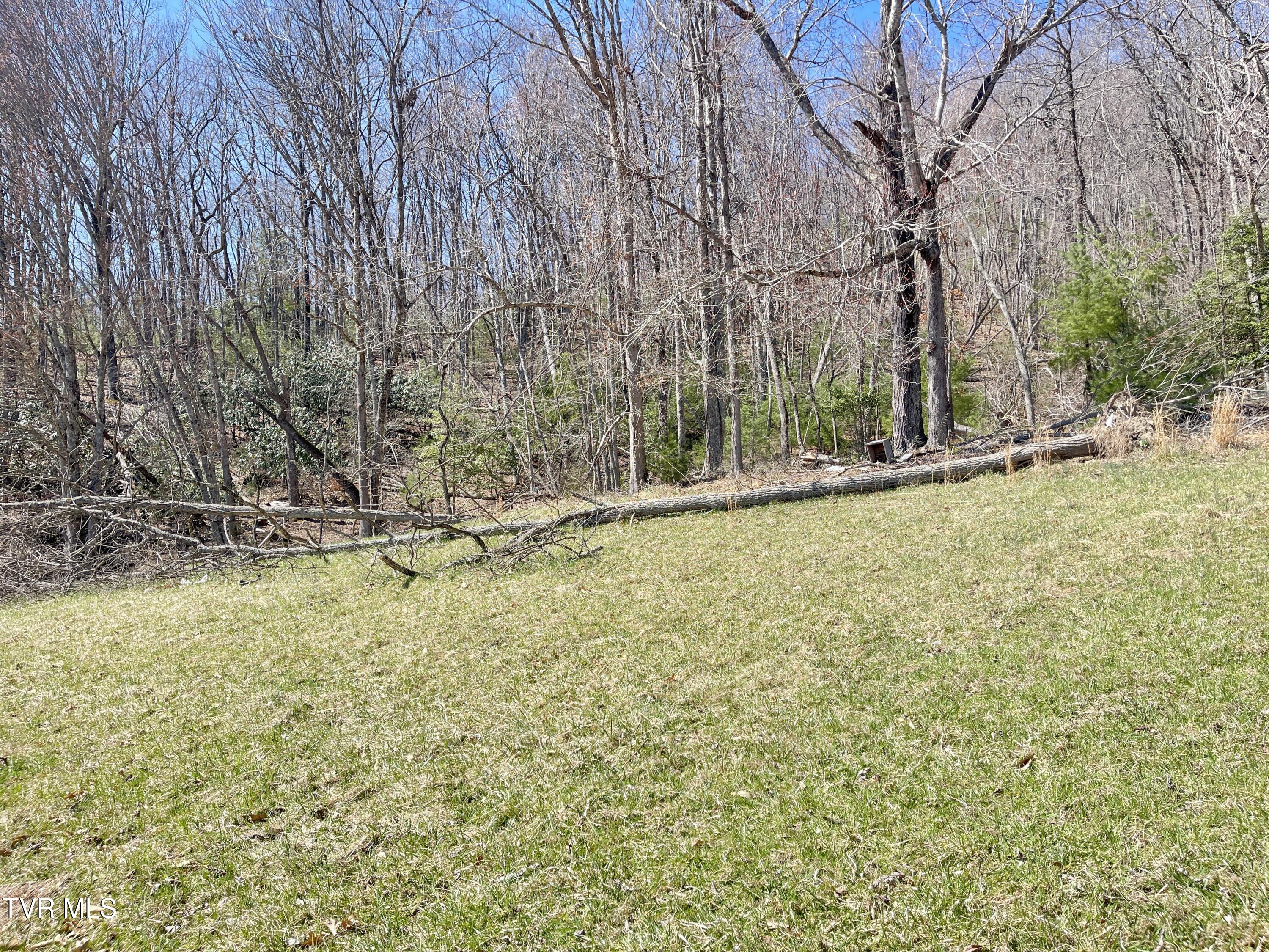 900 Crowder Road, Mountain City, Tennessee image 17