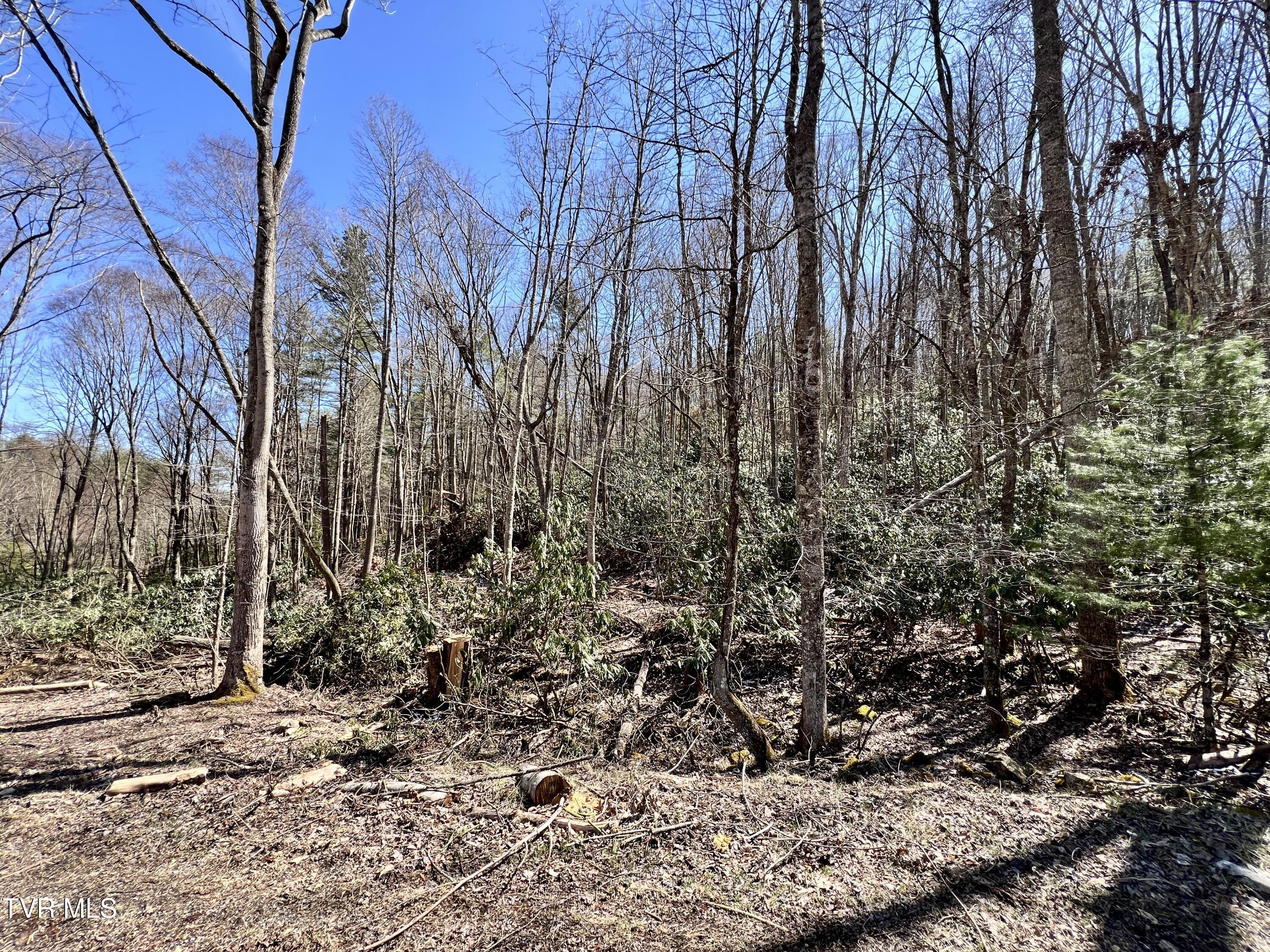 900 Crowder Road, Mountain City, Tennessee image 11