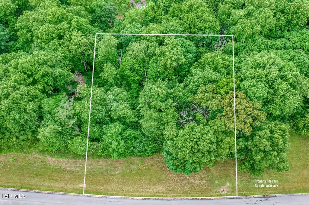 Photo of 44 Chimney Top Lane, Chuckey, TN 37641 (MLS # 9996183)