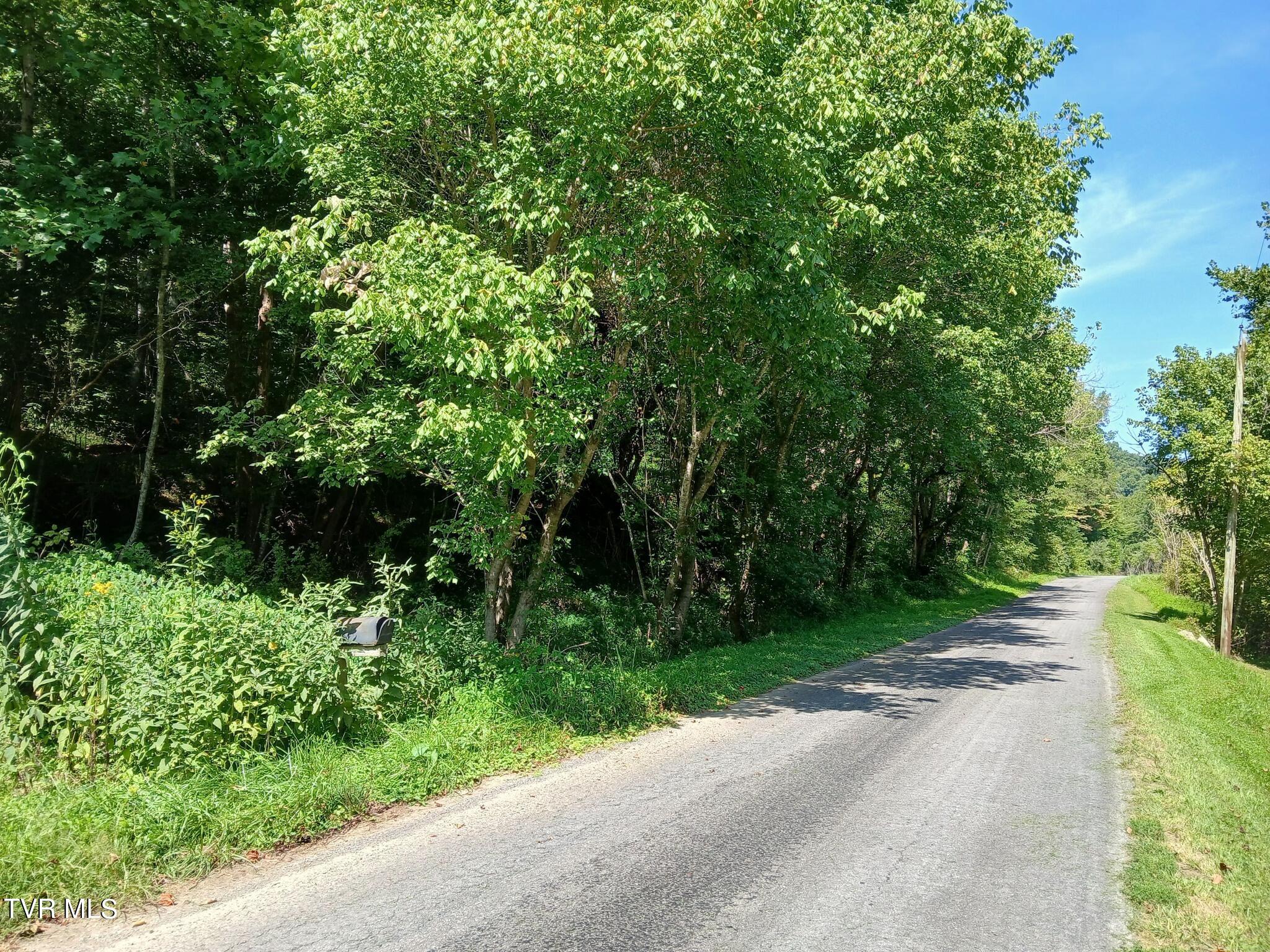 17532 Phillips Road, Bristol, Virginia image 3