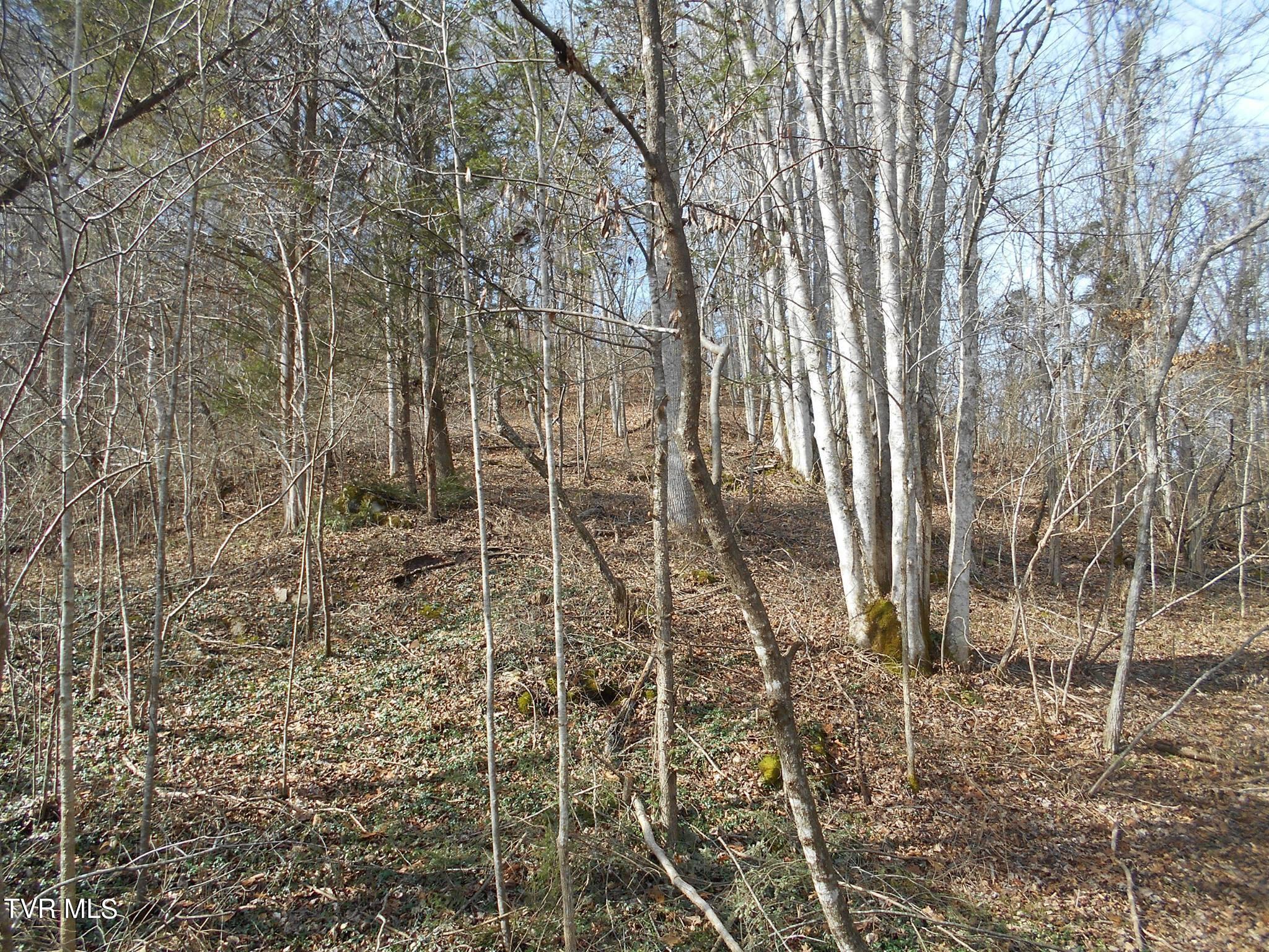 17532 Phillips Road, Bristol, Virginia image 16