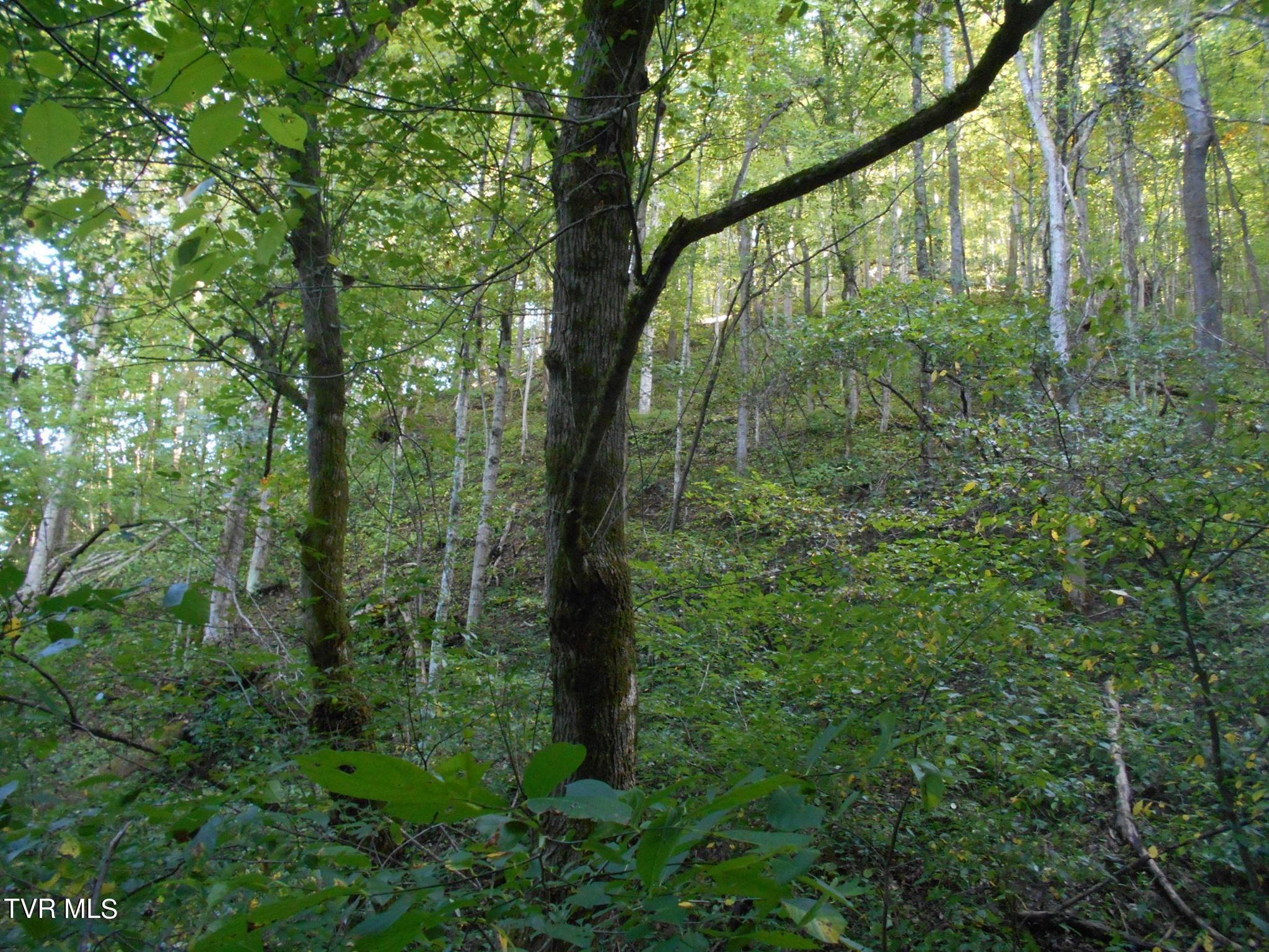17532 Phillips Road, Bristol, Virginia image 15