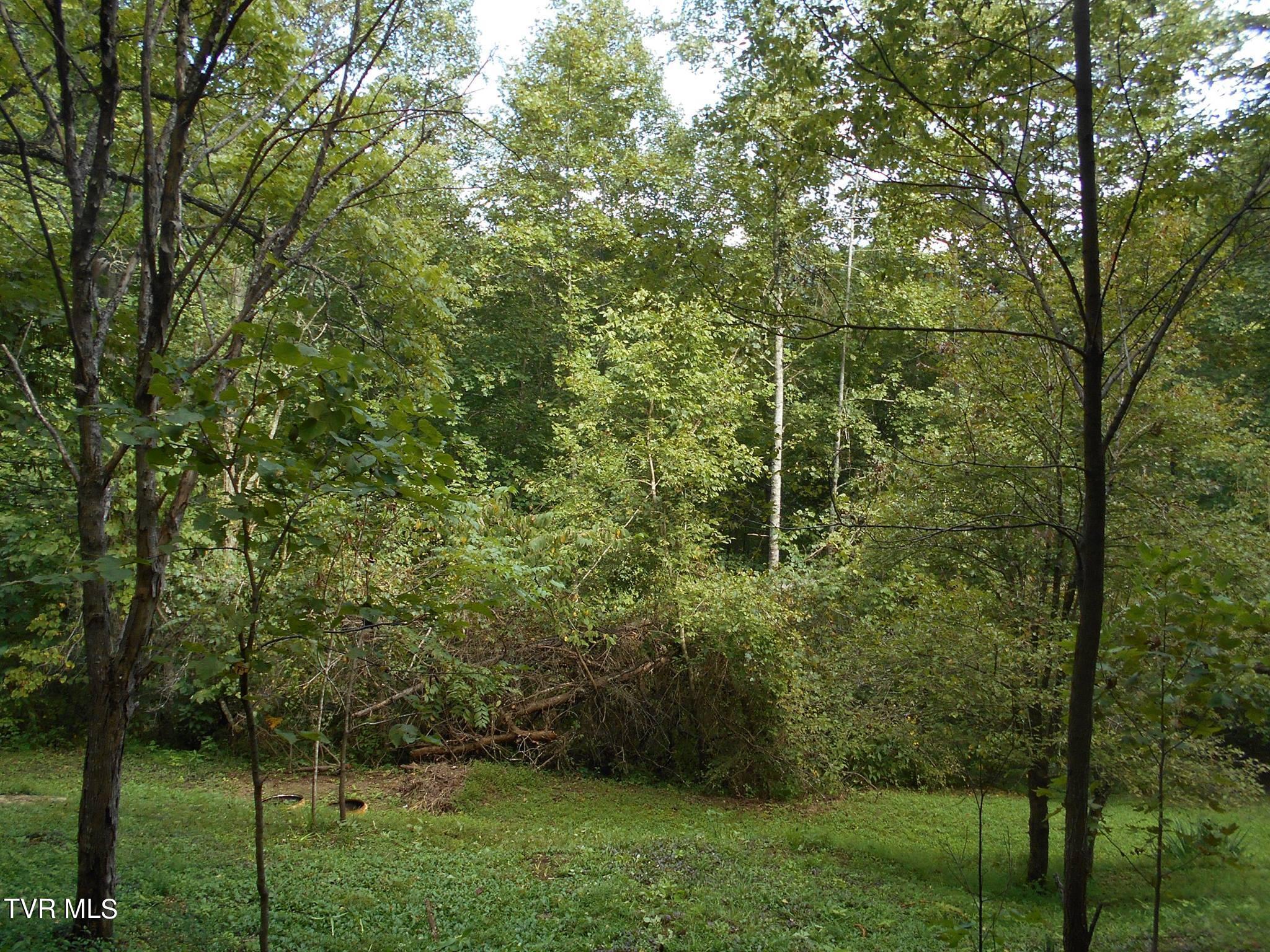 17532 Phillips Road, Bristol, Virginia image 11