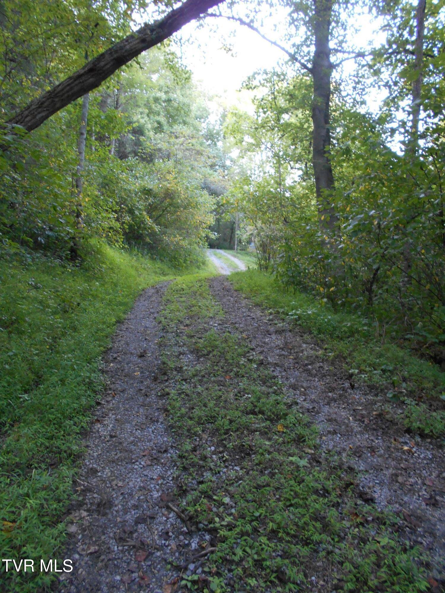 17532 Phillips Road, Bristol, Virginia image 14