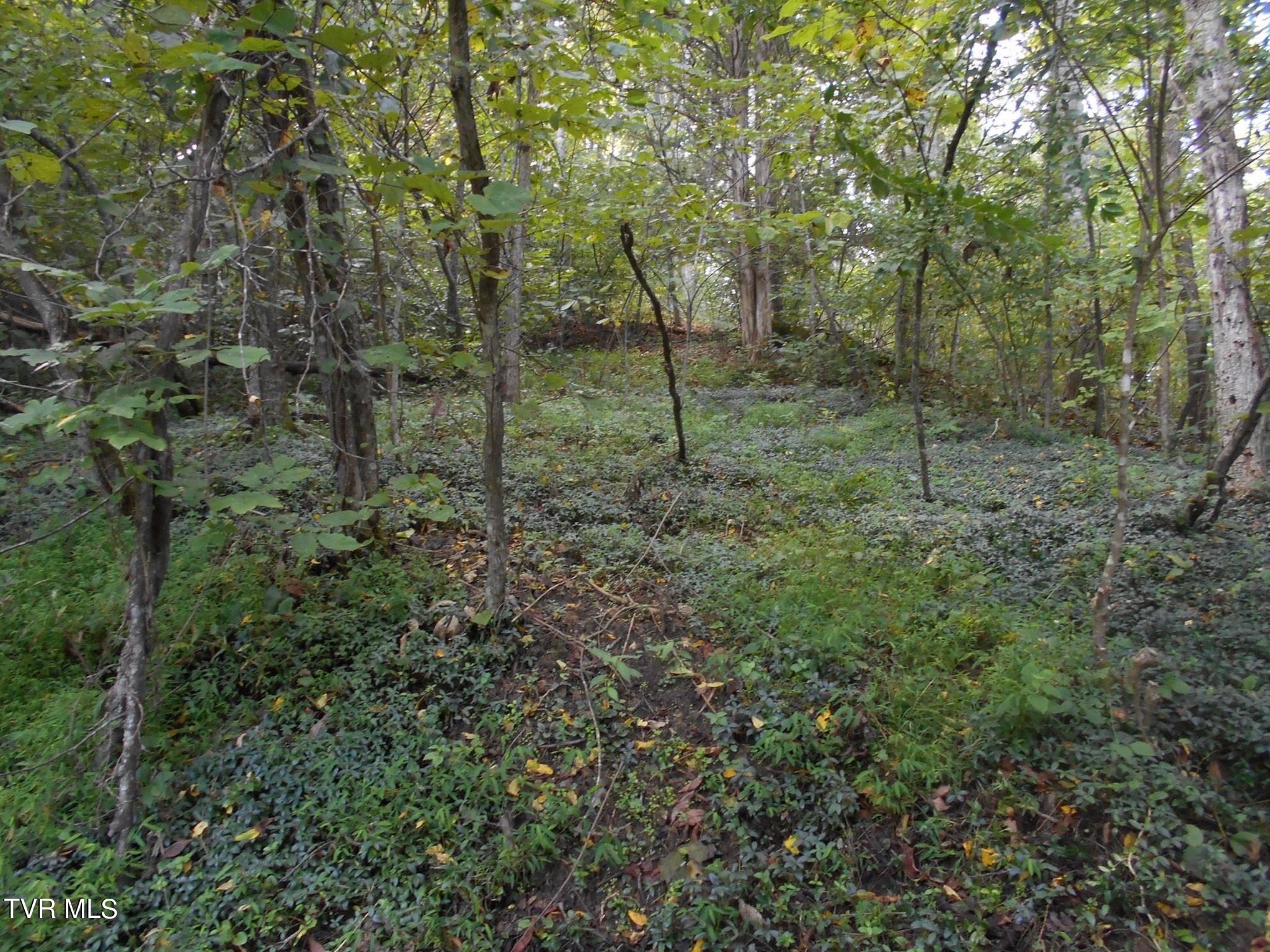 17532 Phillips Road, Bristol, Virginia image 13