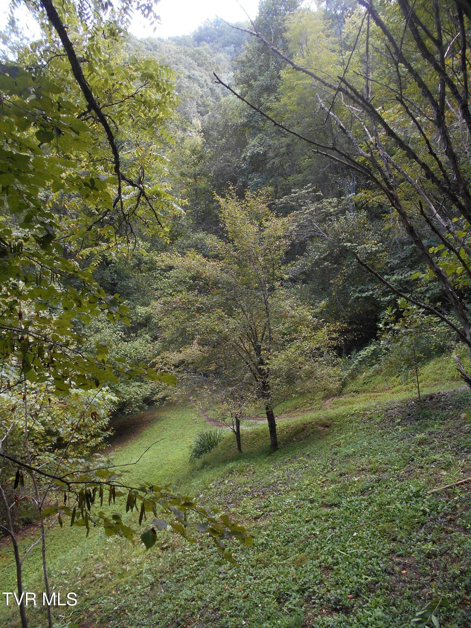 17532 Phillips Road, Bristol, Virginia image 12