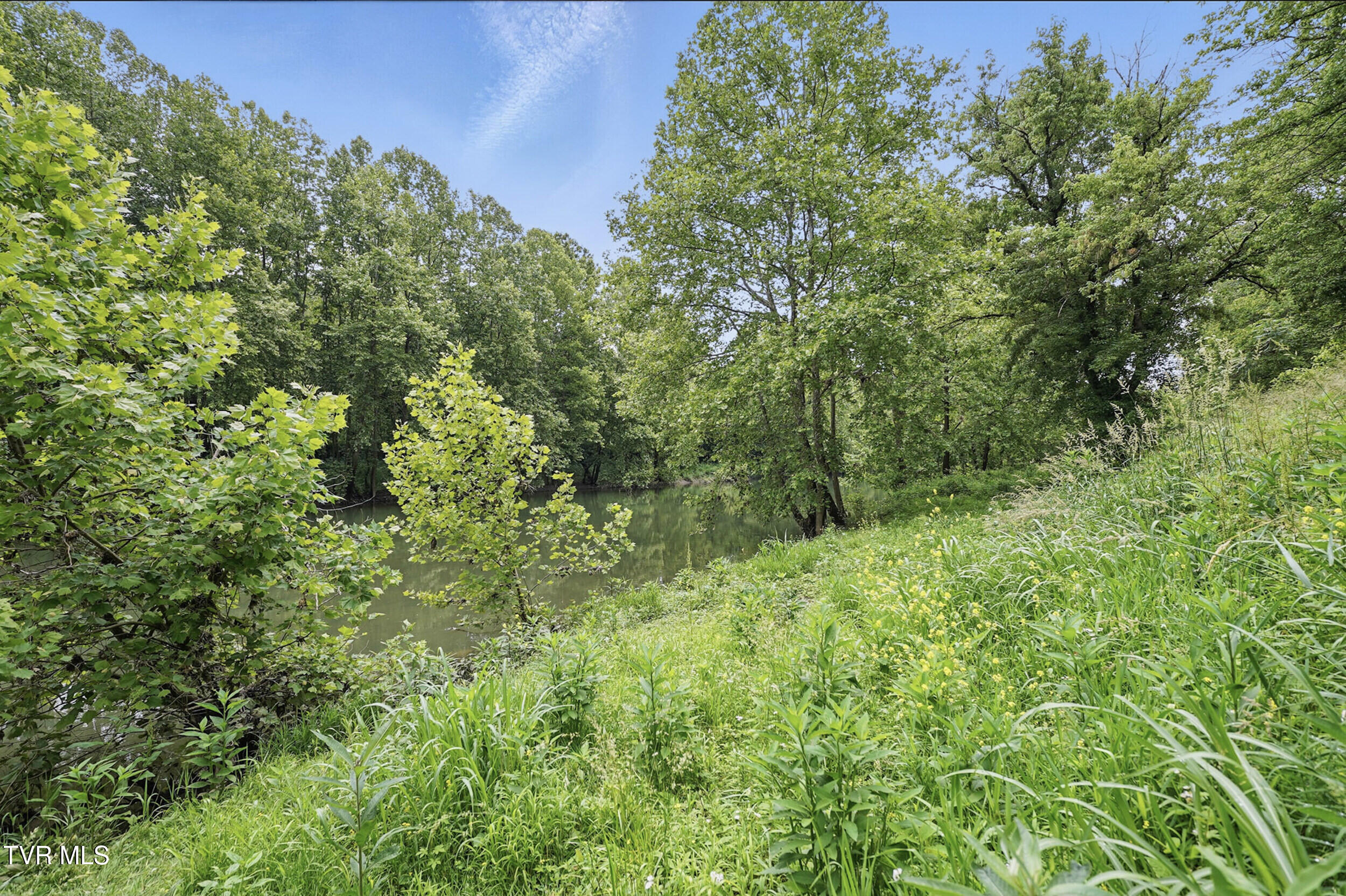 1971 Waters Edge Road, Duffield, Virginia image 6