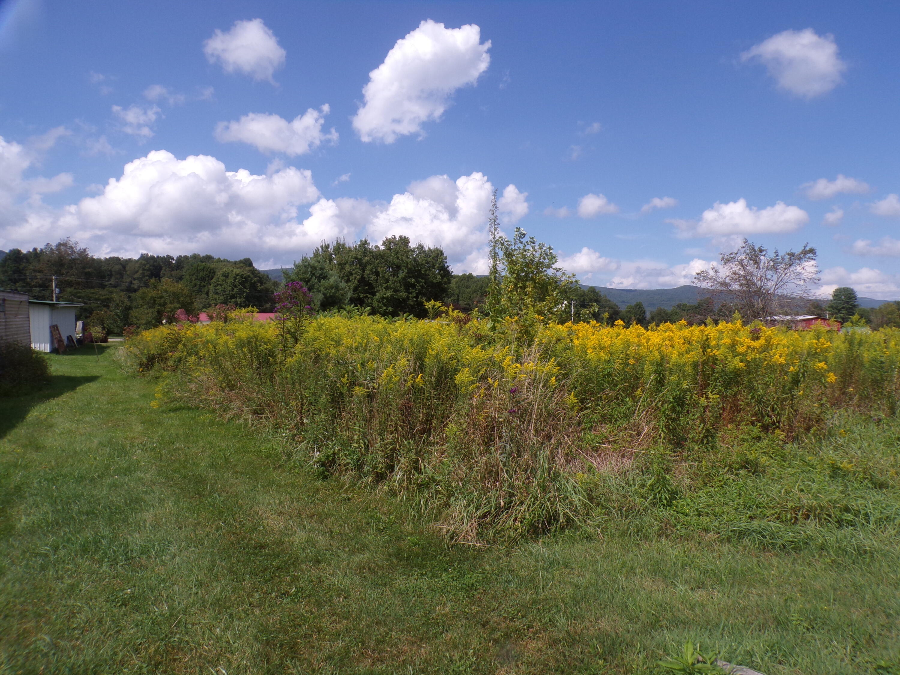 1838 Of Highway 133, Shady Valley, Tennessee image 19