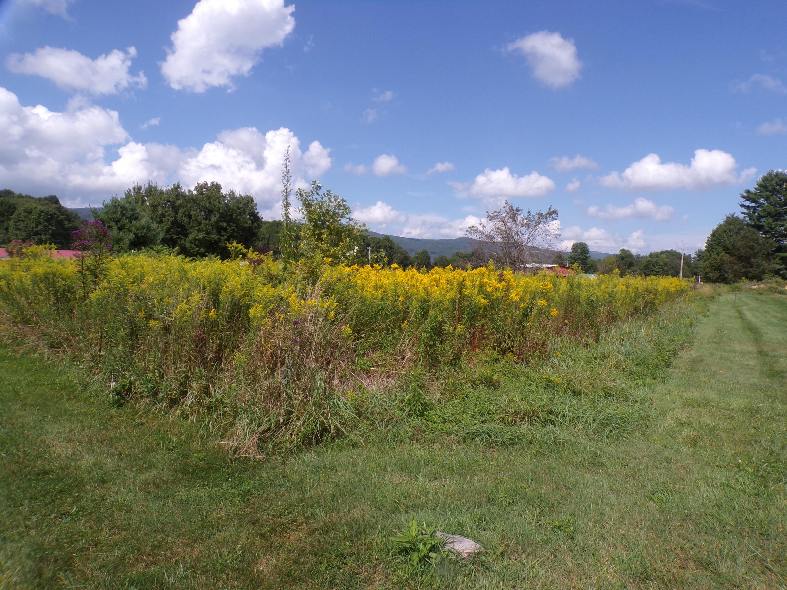 1838 Of Highway 133, Shady Valley, Tennessee image 18