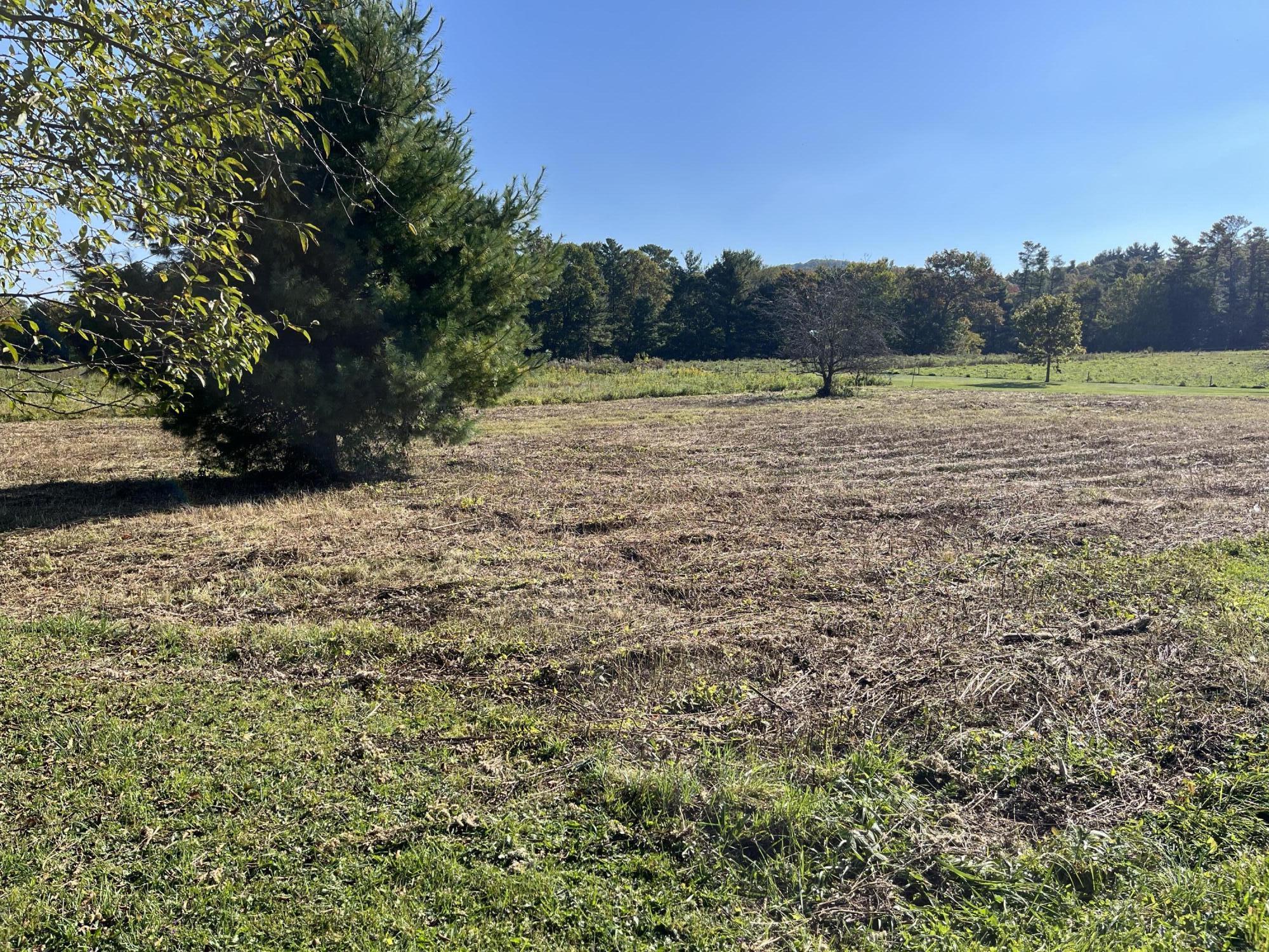 1838 Of Highway 133, Shady Valley, Tennessee image 3