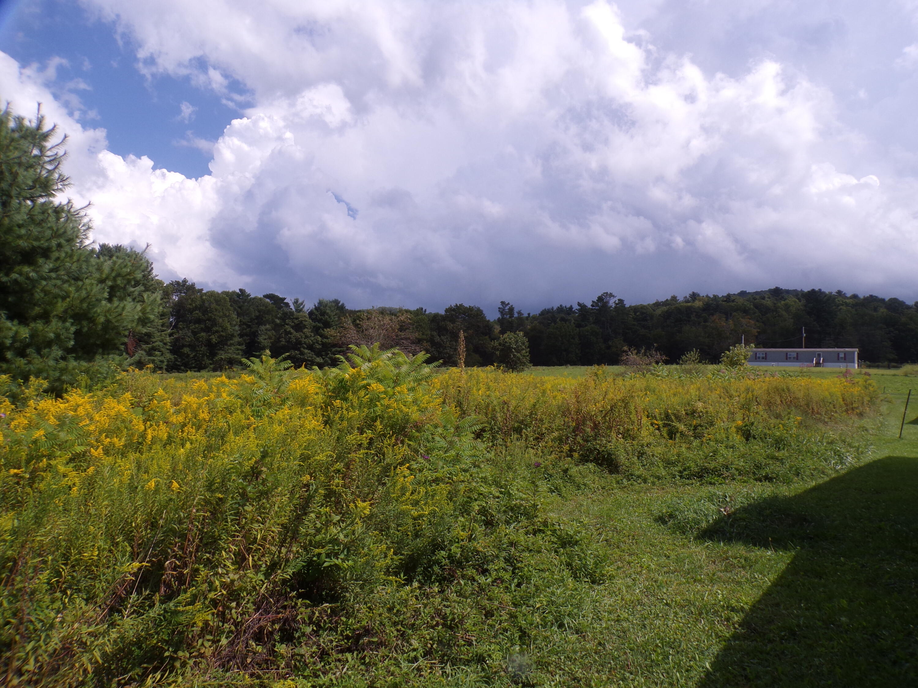 1838 Of Highway 133, Shady Valley, Tennessee image 17