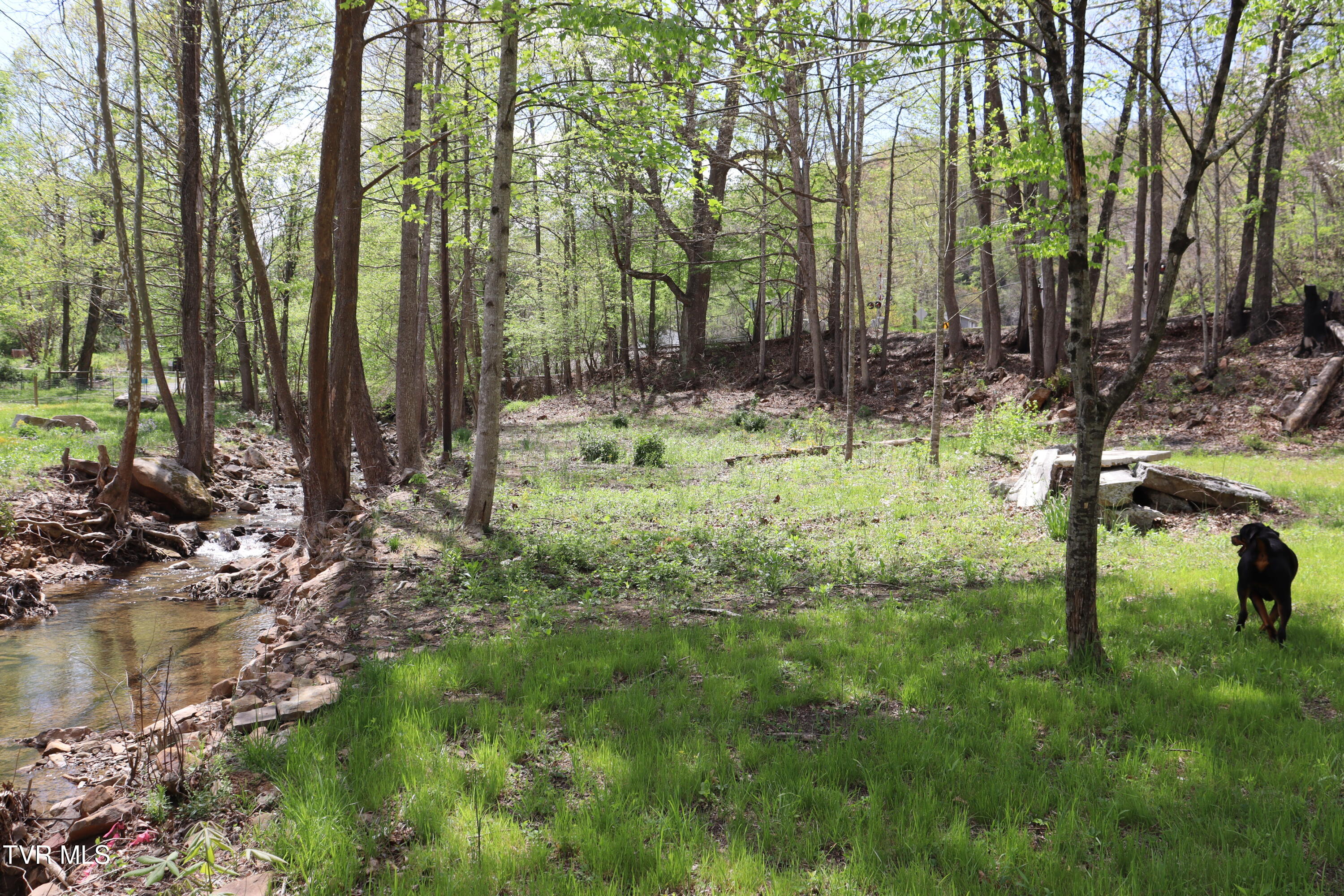 1116 Irondale Road, Big Stone Gap, Virginia image 22