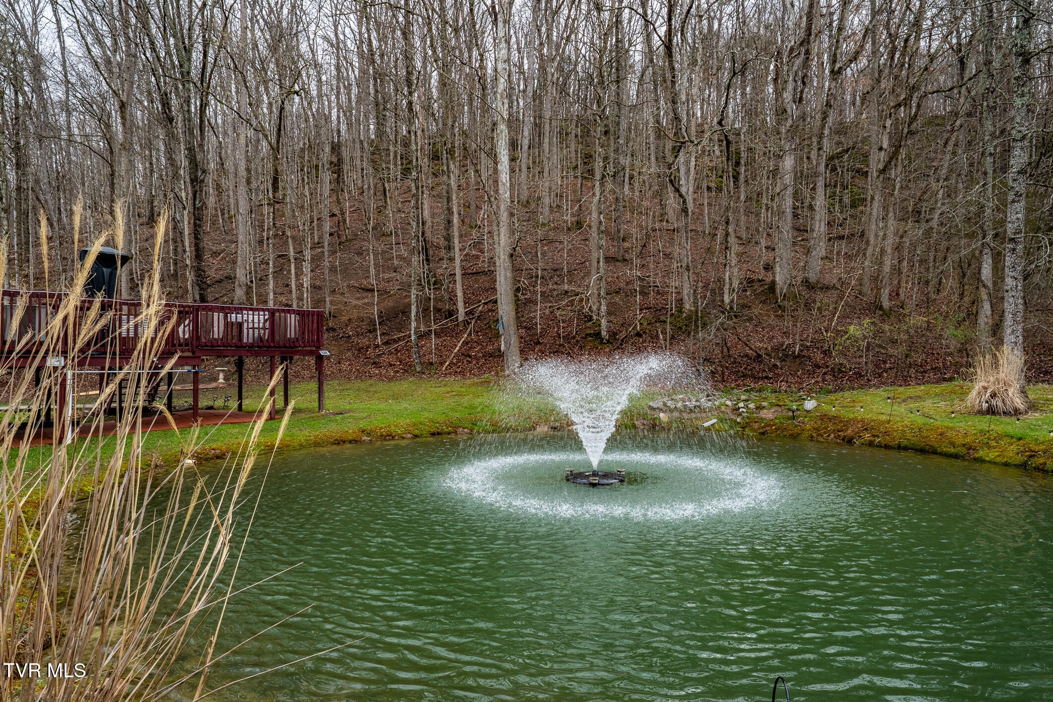 19530 Horton Highway Hwy, Fall Branch, Tennessee image 39