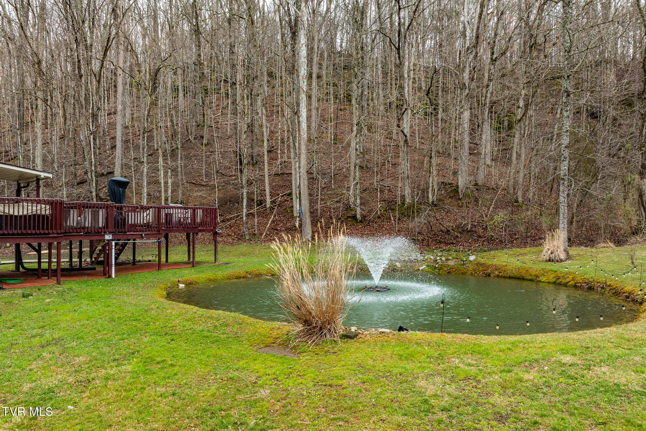 19530 Horton Highway Hwy, Fall Branch, Tennessee image 36