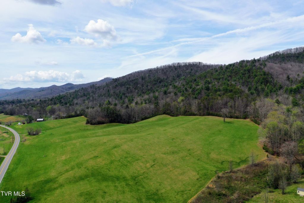 Photo of 17 Tbd Houston Valley Tract 1b Road, Greeneville, TN 37743 (MLS # 9996255)