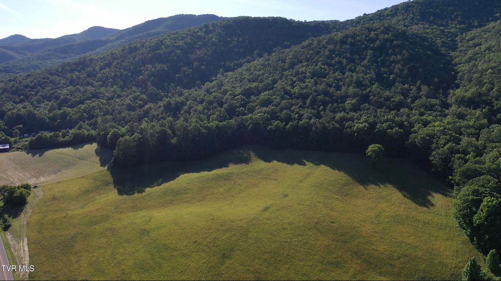 Photo of 17 Tbd Houston Valley Tract 1b Road, Greeneville, TN 37743 (MLS # 9996255)
