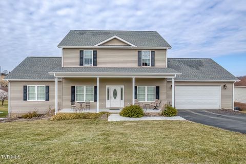Photo of 228 Country Meadows Circle, Bristol, TN 37620 (MLS # 9991025)