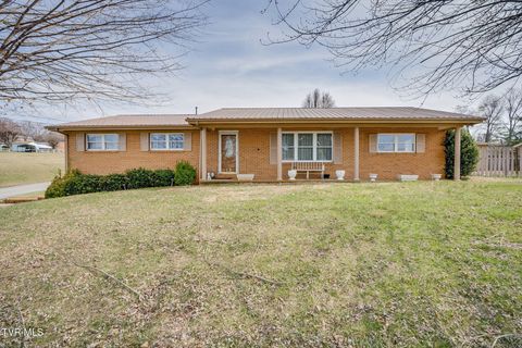 Photo of 1301 Kenney Street, Greeneville, TN 37745 (MLS # 9991909)