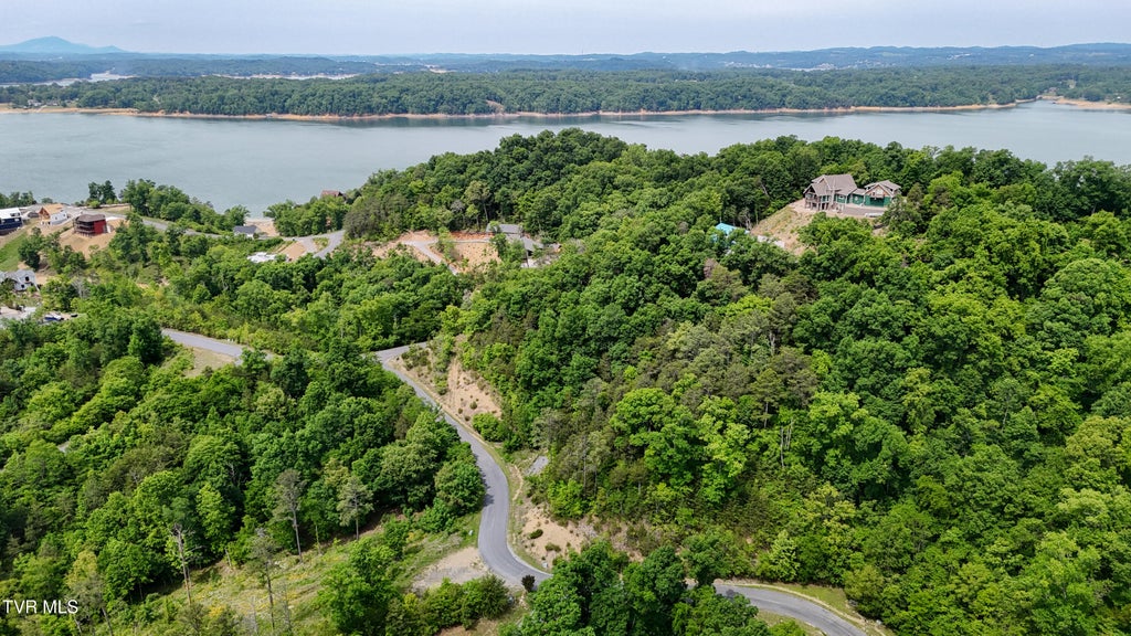Photo of 78 Stone Bridge Drive, Dandridge, TN 37725 (MLS # 9998666)
