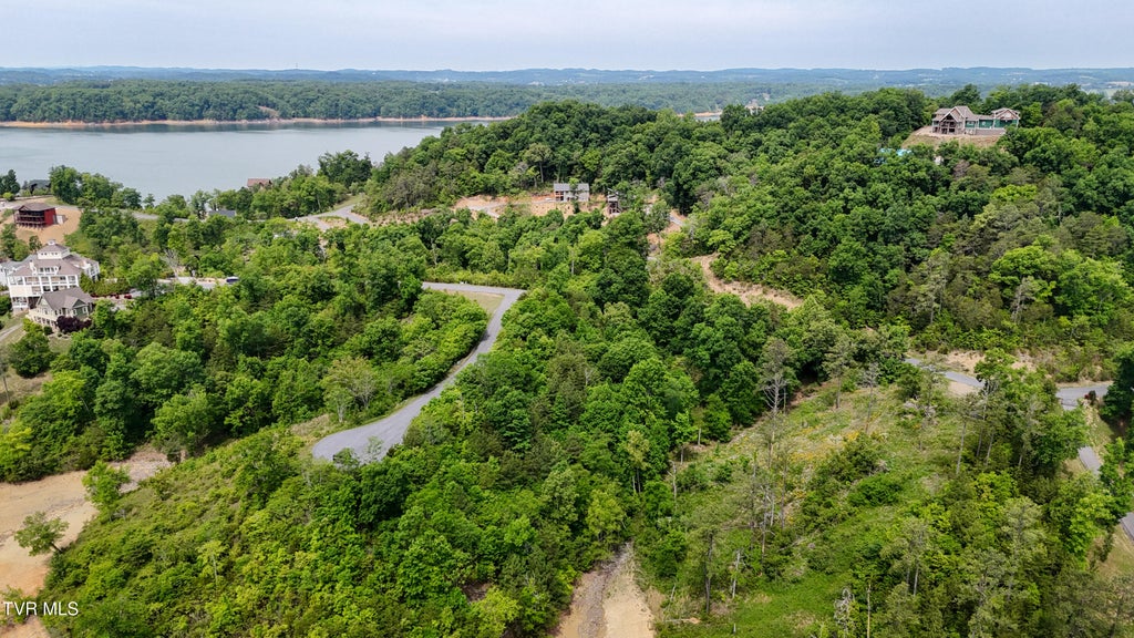 Photo of 78 Stone Bridge Drive, Dandridge, TN 37725 (MLS # 9998666)