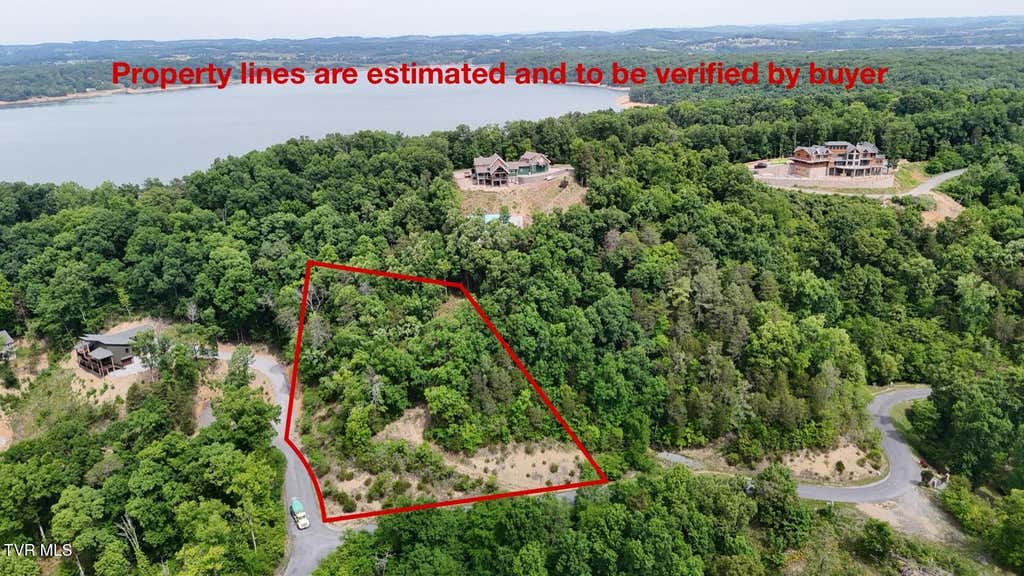 Photo of 78 Stone Bridge Drive, Dandridge, TN 37725 (MLS # 9998666)