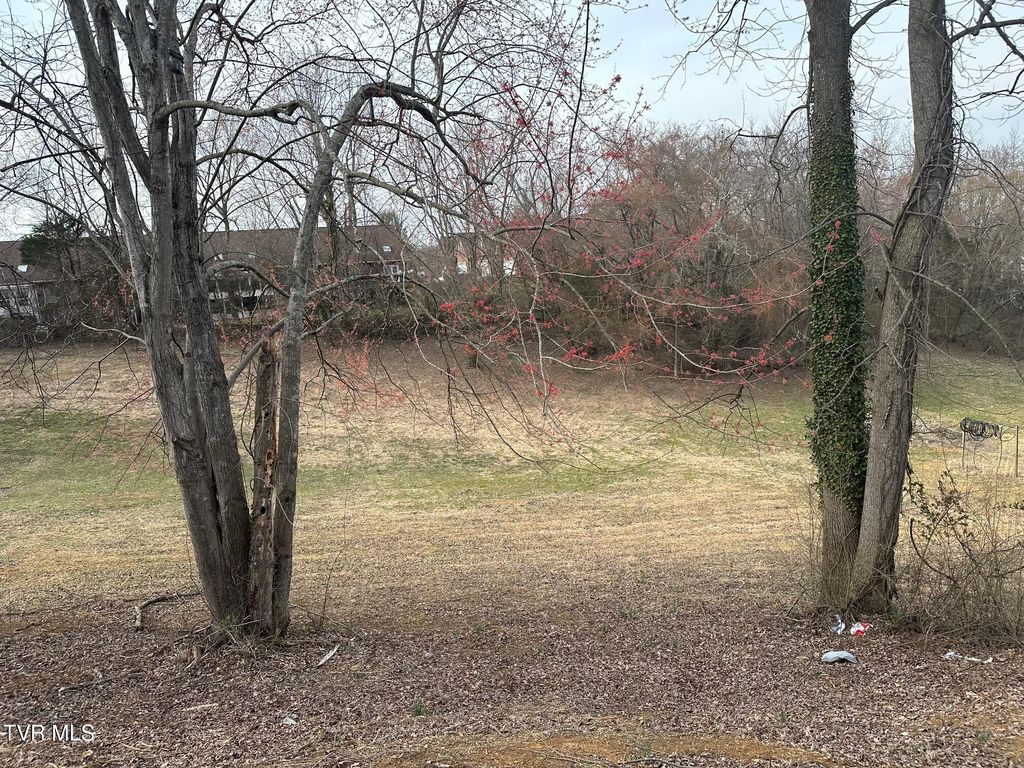 Photo of Tbd Ford Avenue, Kingsport, TN 37663 (MLS # 9977282)