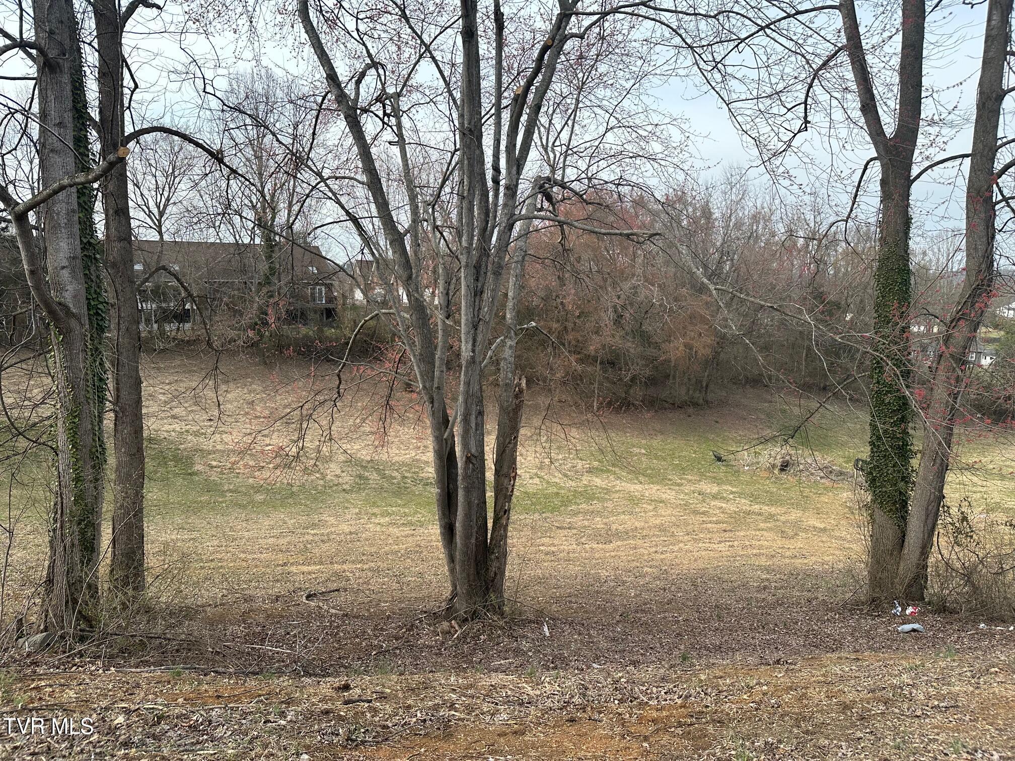 Tbd Ford Avenue, Kingsport, Tennessee image 1