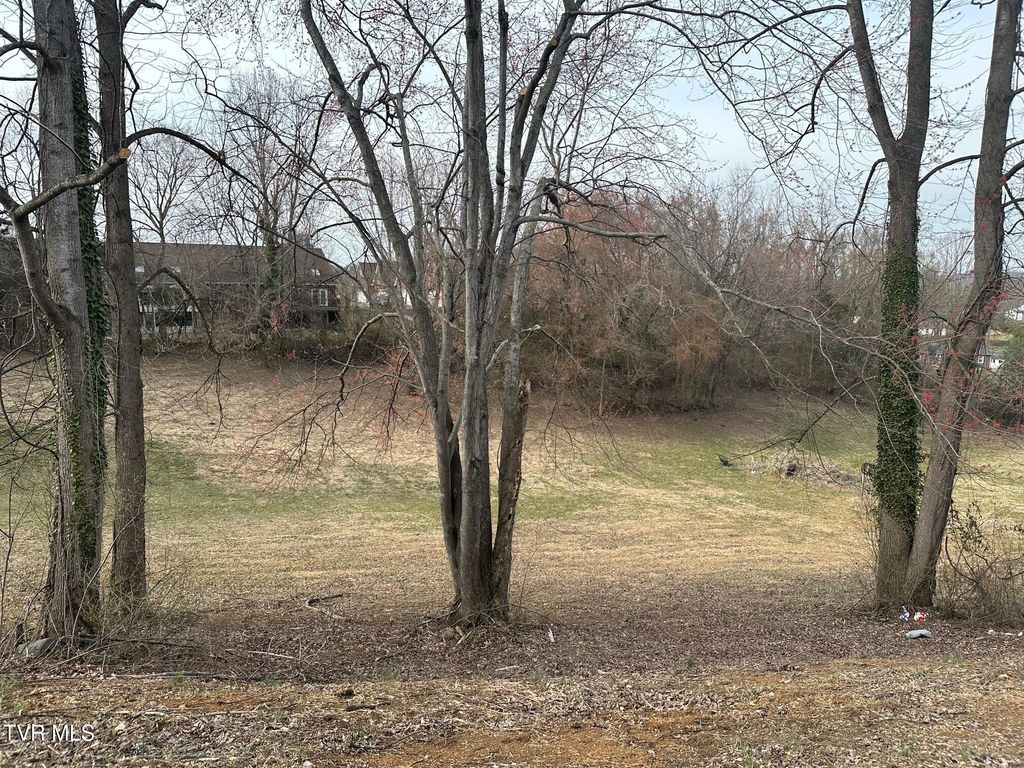 Photo of Tbd Ford Avenue, Kingsport, TN 37663 (MLS # 9977282)